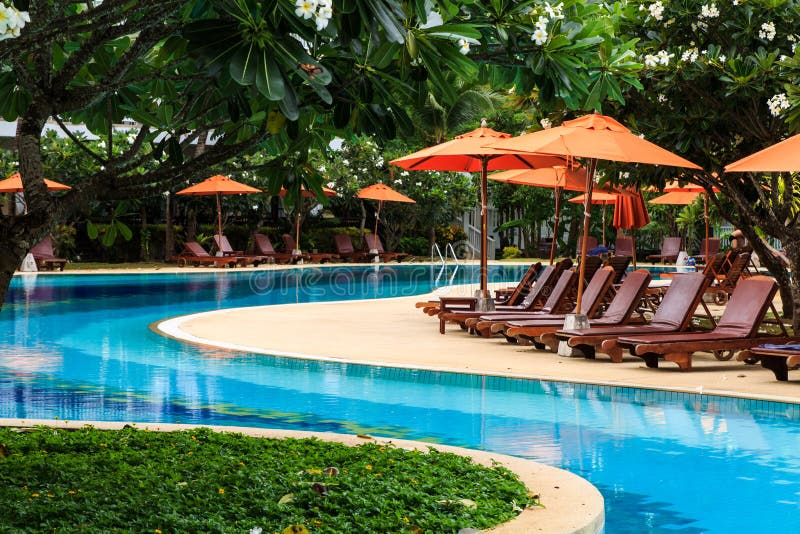 Beach chairs and swimming pool