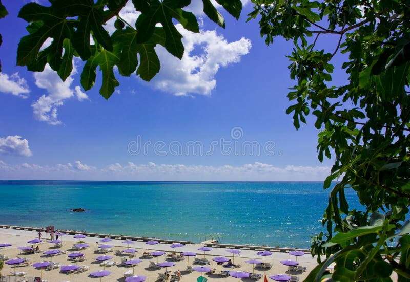 Beach with chairs and umbrellas