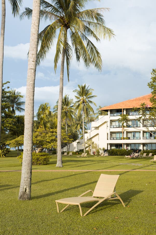 Beach Chairs Under the Palm Tree Viewing the Sunset Stock Image Image