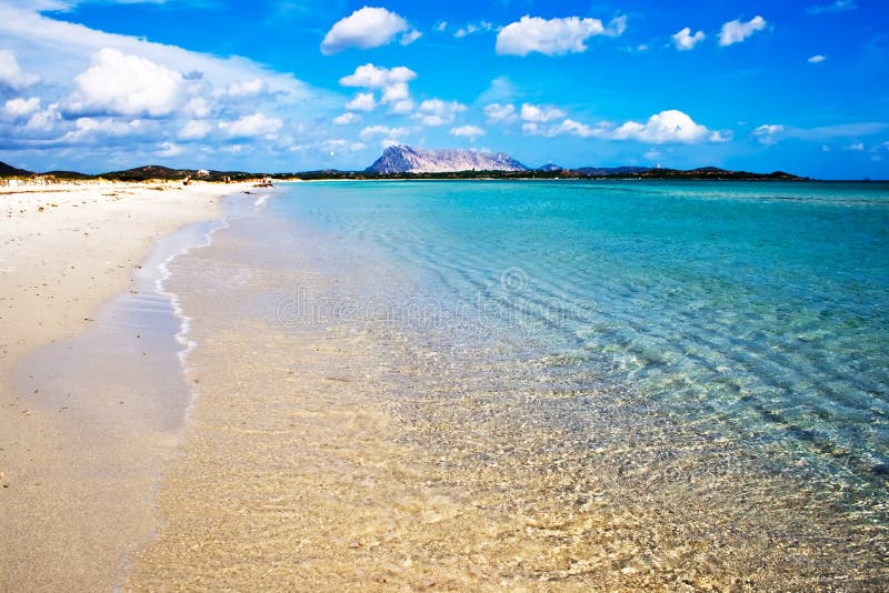 Sardinia Beach stock photo. Image of italia, sandy, sardinia - 7836376