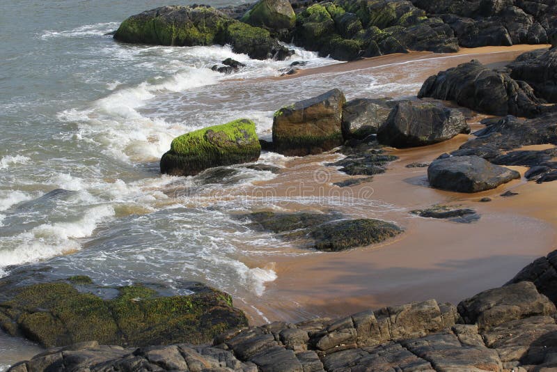 Beach stock photo. Image of beach, water, environment 82802534