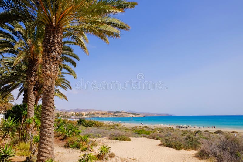 Beach Costa Calma on Fuerteventura, Canary Islands