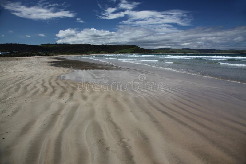 Beach at Curio Bay royalty free stock images