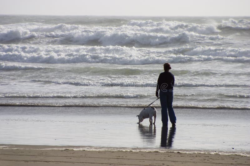 Beach Dog Walker stock photo. Image of sand, shorline, coast 341846