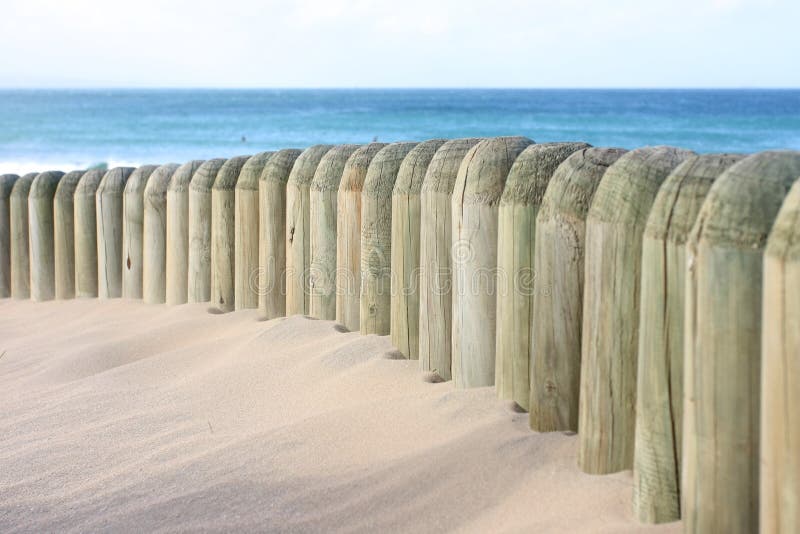 Beach dune and beach fence