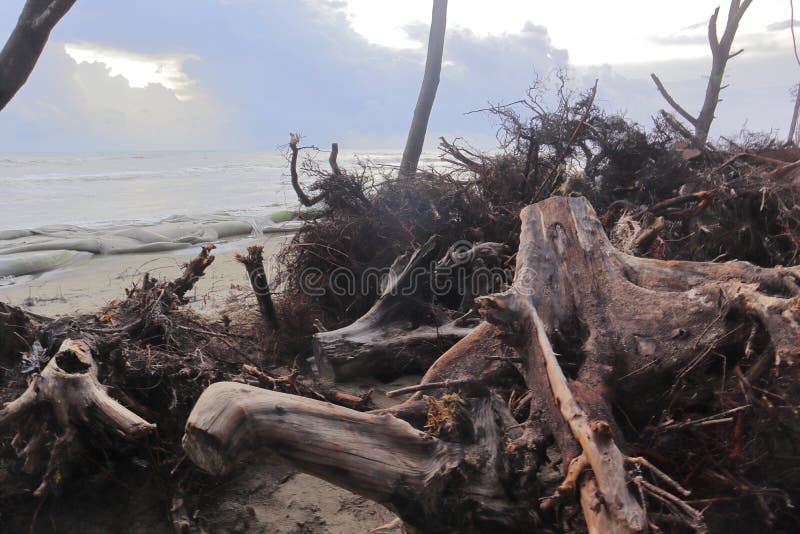 Beach Erosion and Damage at Coxs Bazar Sea Beach in Bangladesh