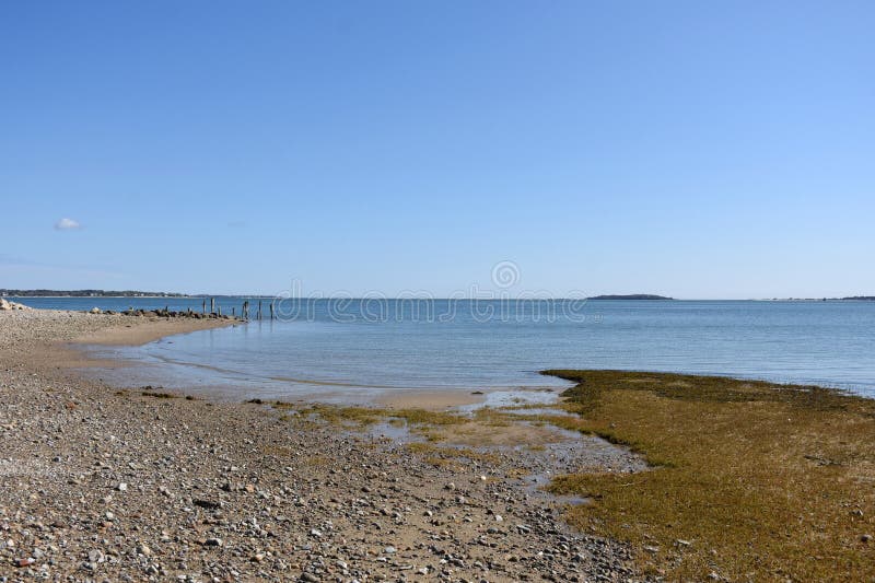 Beach Exposed at Low Tide with Marsh Grass Stock Image Image of