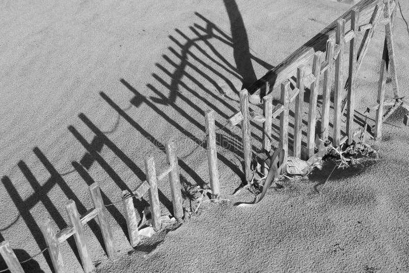 Beach dune and beach fence (black and white photo)