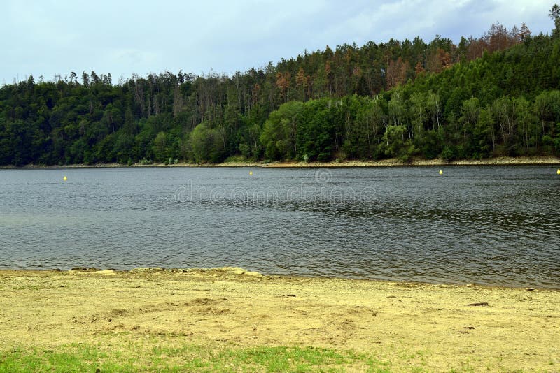 Beach and forest on the dam Dalesice