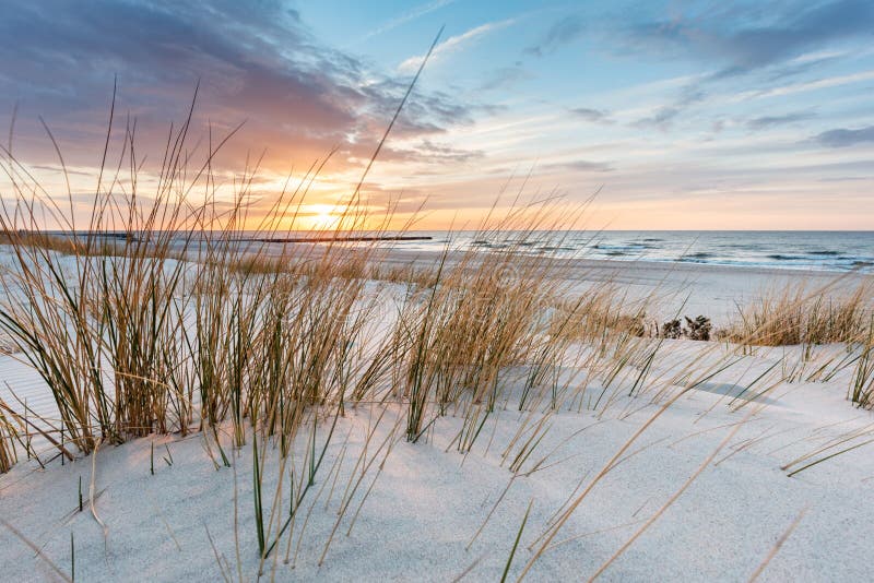 Beach grass on dune, Baltic sea at sunset