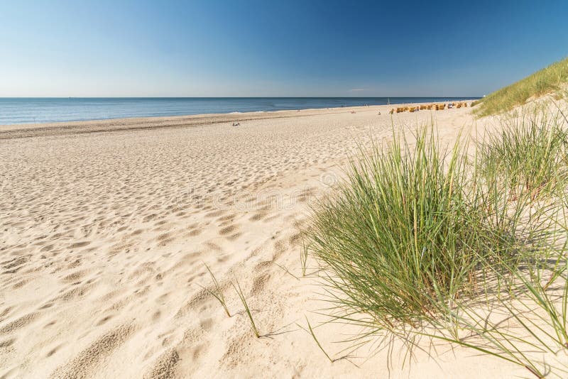 Beach grass and sand beach on quiet ocean coast royalty free stock photo Beach grass and sand beach on quiet ocean coast royalty free stock photo