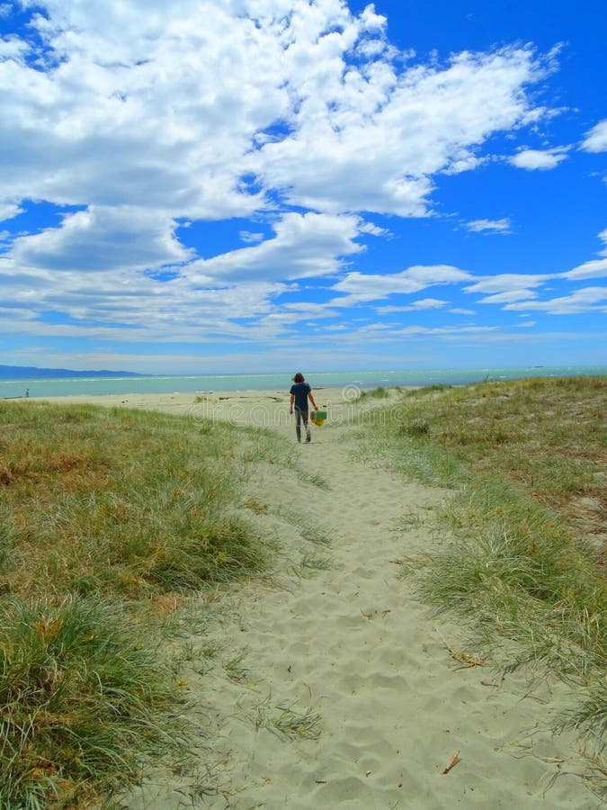Grassland on the beach stock image. Image of grassland 35999681