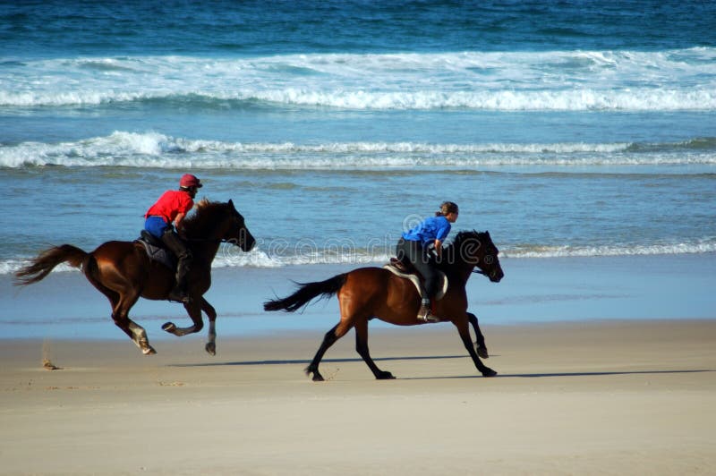 Two brown horses with riders galloping in the water on the beach. Two brown horses with riders galloping in the water on the beach