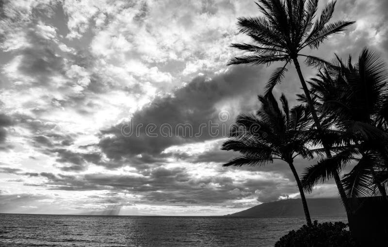 Beach on the Island of Maui, Aloha Hawaii. Stock Image Image of wave