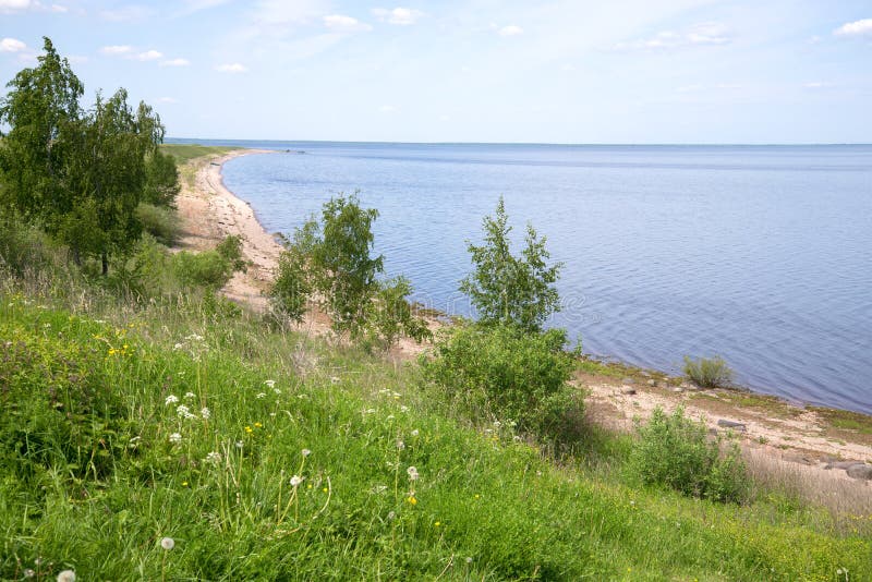 Коростынь Новгородская область. Ильмень озеро пляжи зона. Деревня Коростынь озеро Ильмень берег. Лейк парк Коростынь. С ильмень озера ребятня возвращалась