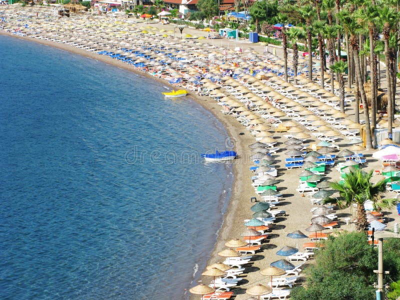 Beach landscape