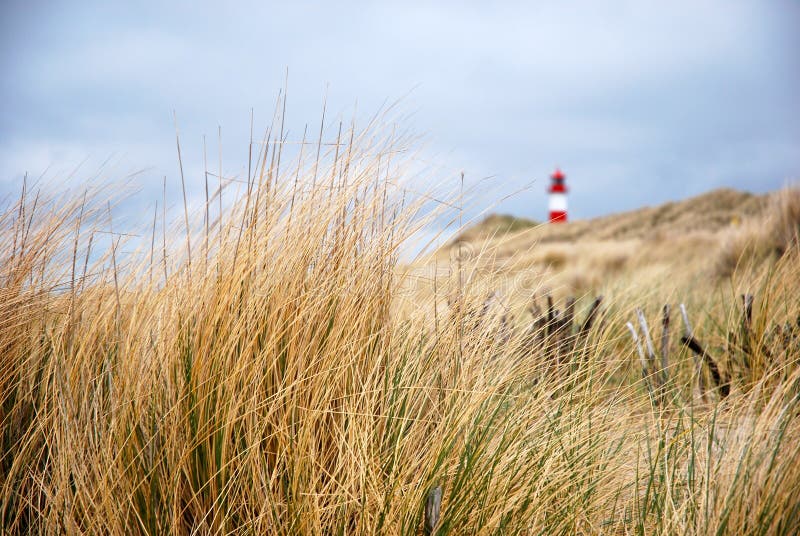 The beach & Lighthouse