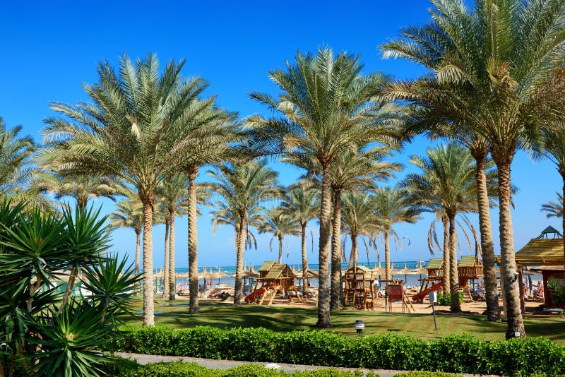 The Beach of Luxury Hotel with Palm Trees Editorial Image Image of