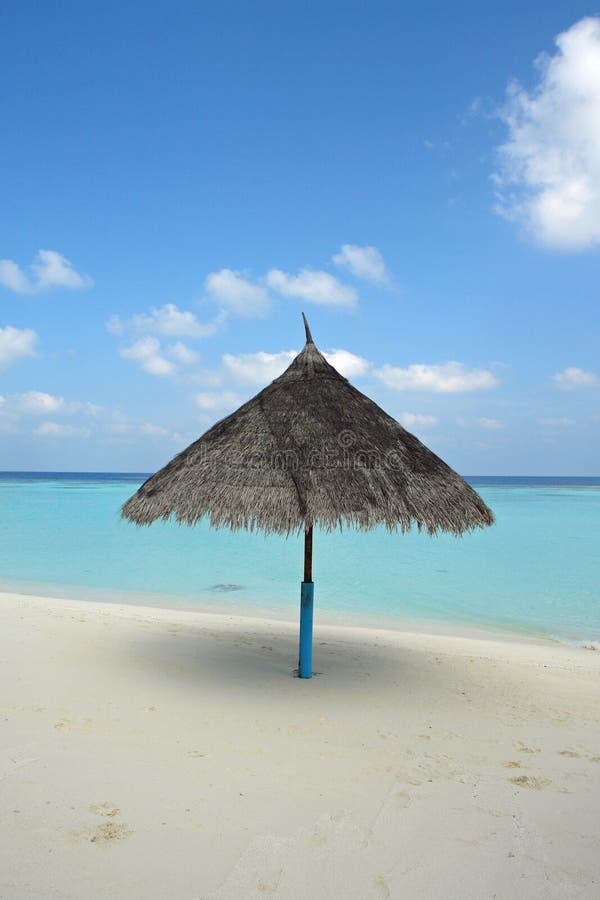 Maldive island resort stock image. Image of palm, ocean - 3764081