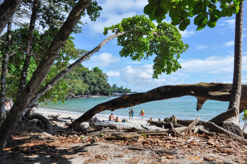 Beach at Manuel Antonio National Park, Costa Rica royalty free stock photo Beach at Manuel Antonio National Park, Costa Rica royalty free stock photo