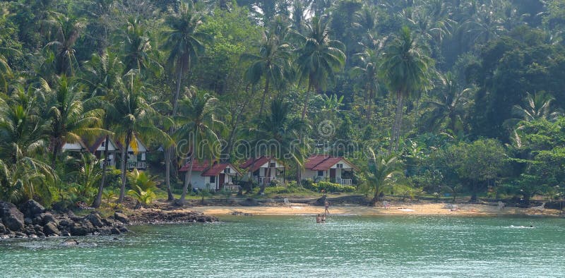 The beach with many plam trees in Koh Rong, Cambodia stock image