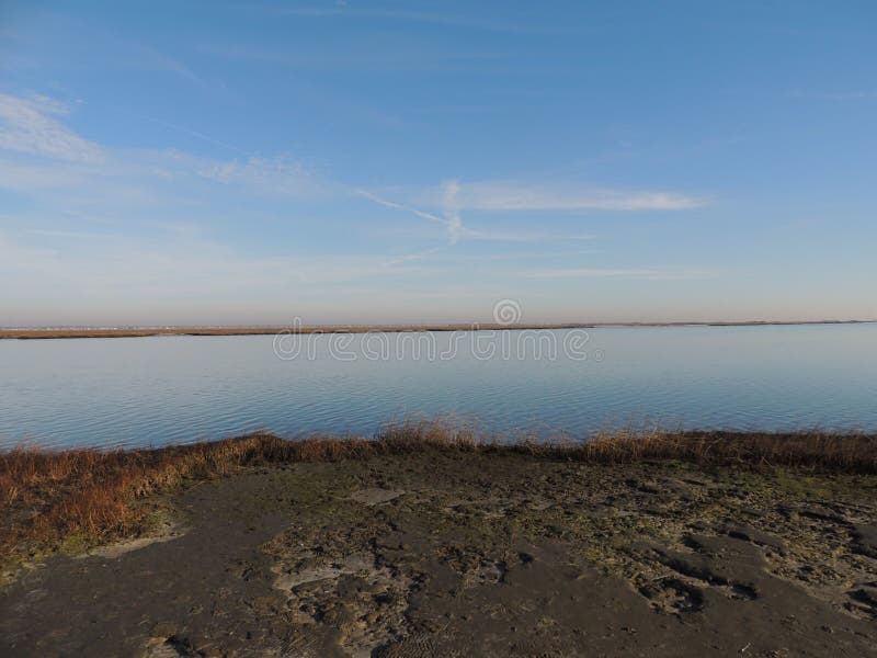 Marsh stock photo. Image of beach, sunrise, sunset, marshland 50226092