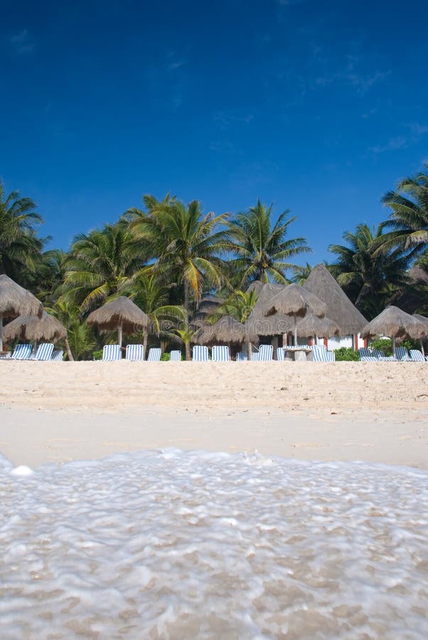 Beach in the Mexican Caribbean Stock Image Image of oasis, turquoise