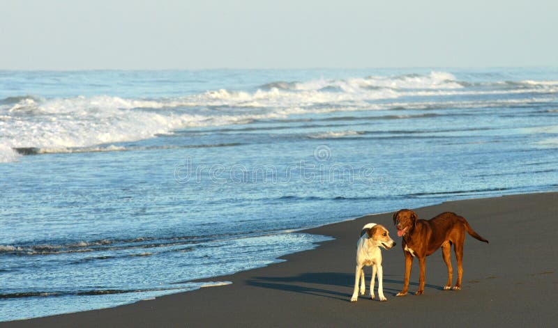 On the beach - Mexico