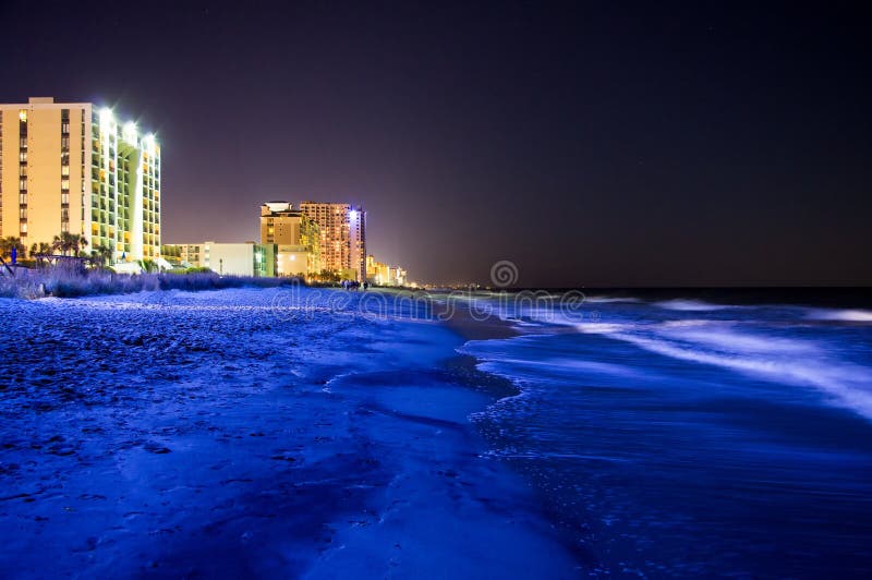 Paradise Beach at Night. Tropical Paradise, White Sand, Beach, Palm