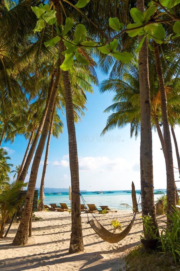 Beach with Palm Trees and Beach Beds, Summer Vacations Stock Photo