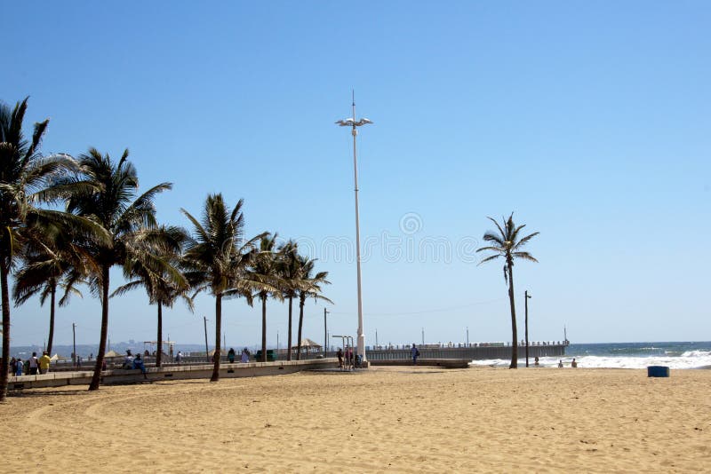 Beach and Palm Trees in Durban South Africa Editorial Image Image of
