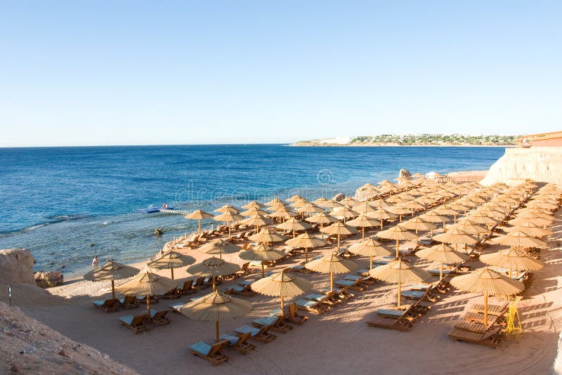 Beach with parasoles and a Red Sea with corales