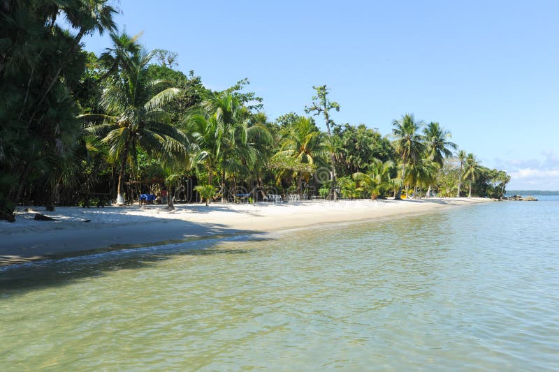 Beach of Playa Blanca Near Livingston Stock Image - Image of trees ...