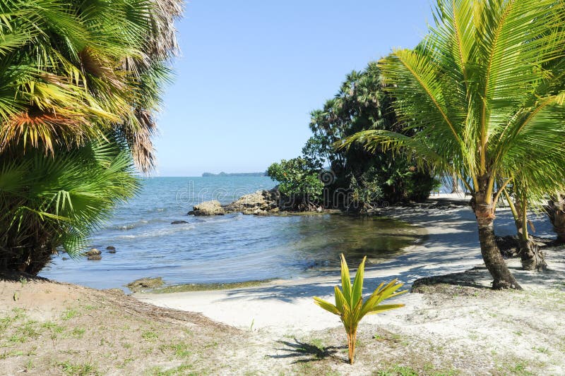 Beach of Playa Blanca Near Livingston Stock Image - Image of ocean ...