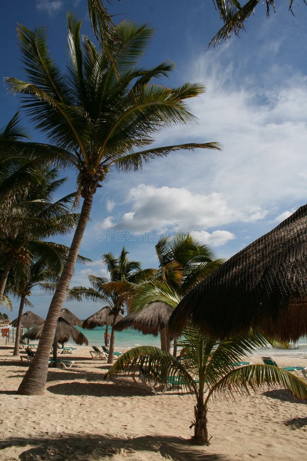 The Beach at Playa del Carmen - Mexico