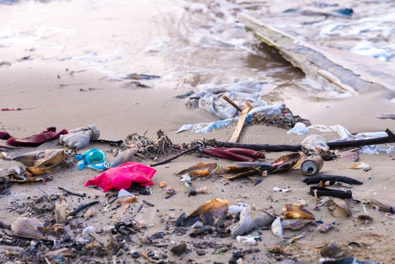 Beach pollution