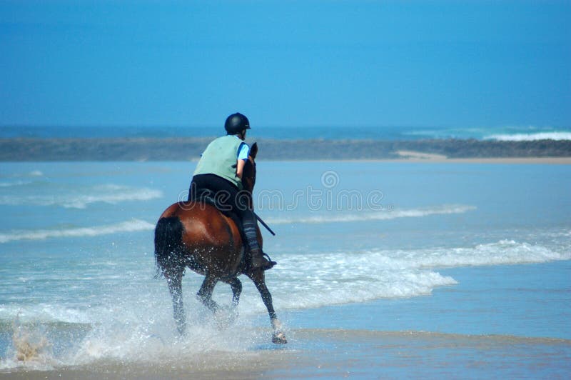 Beach ride stock image Beach ride stock image