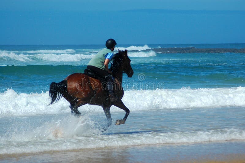 Ecuestre deporte marrón activo un caballo jinete galope en Agua sobre el Playa en el verano.