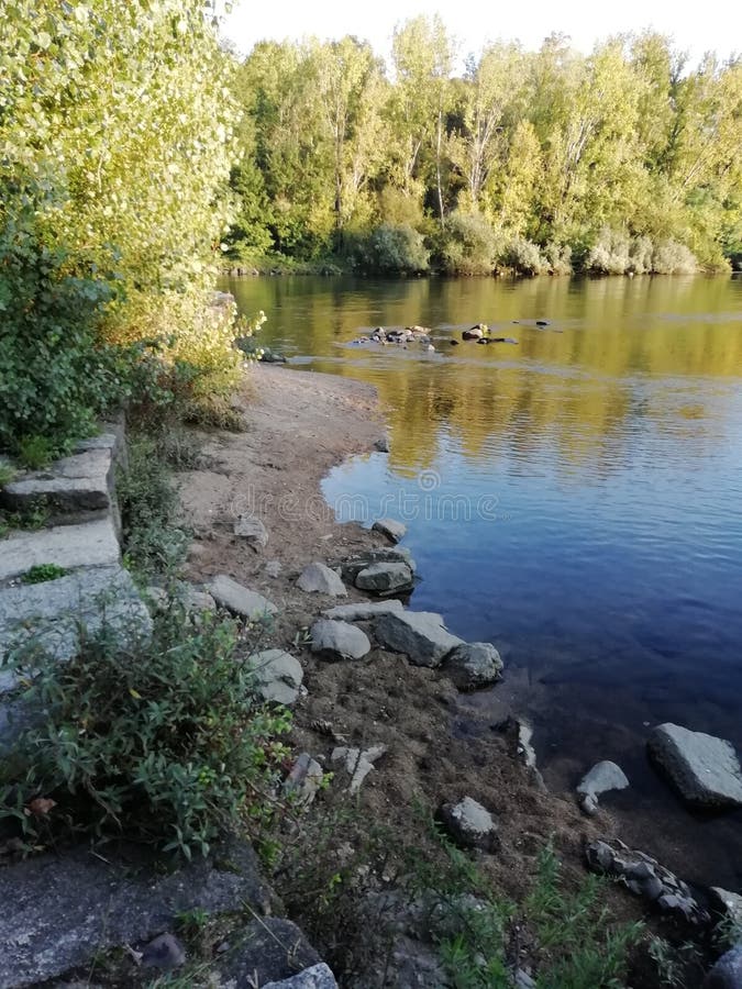Beach river stock photo. Image of trees, river, beach 129260316