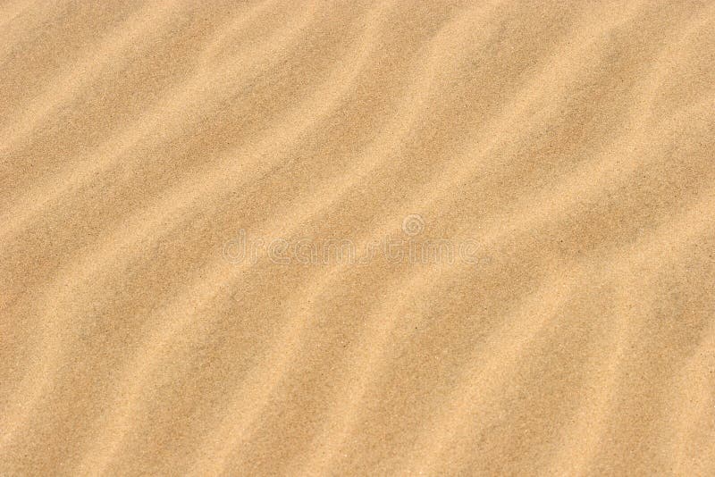 Spiaggia di Dune di Sabbia di Sottofondo per l'Estate.