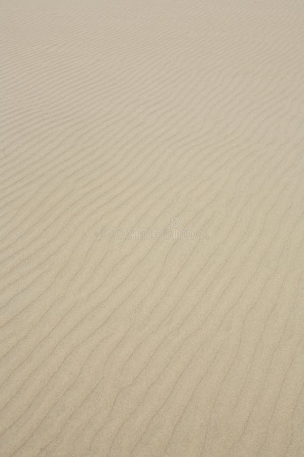 Ondas en Playa arena.