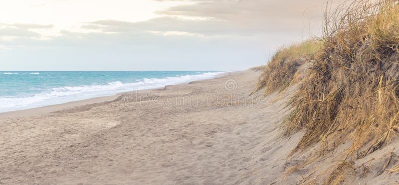 Beach Sand Dunes