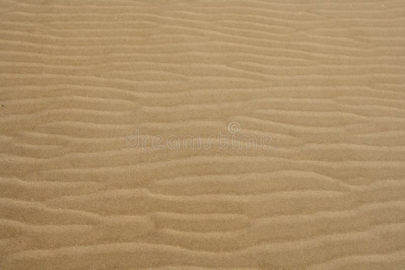 Beach sand waves warm texture background