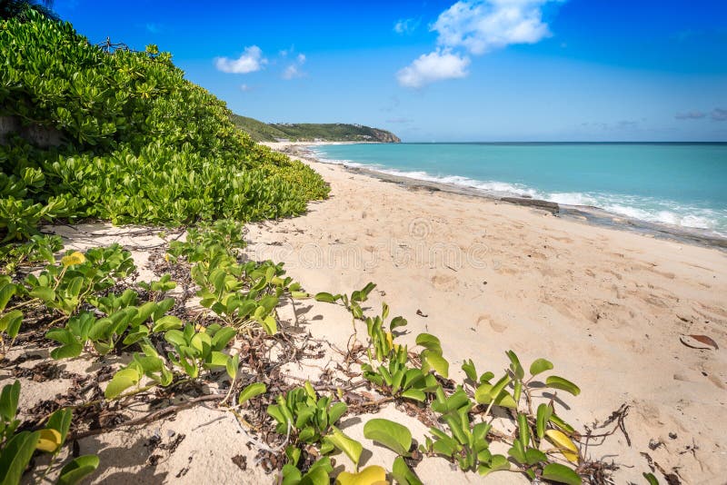 Beach Scene stock image. Image of wave, ocean, sand, beach 69894973