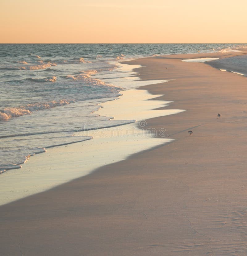 Beach Scene with Sandpipers