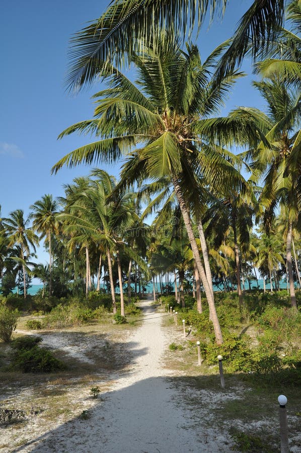 Beach scene in Zanzibar