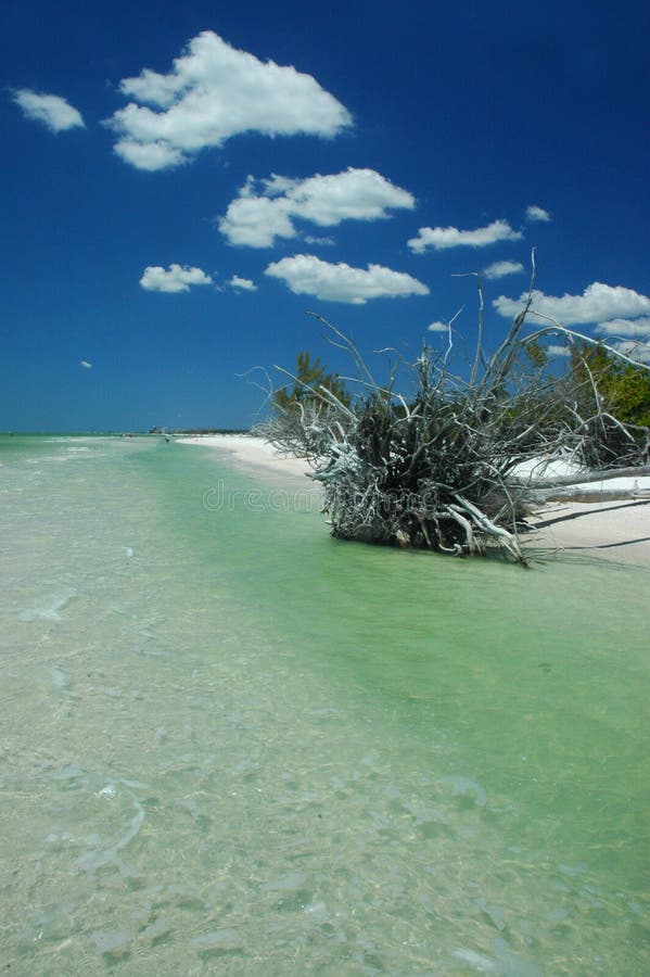 Beach scenic (florida)