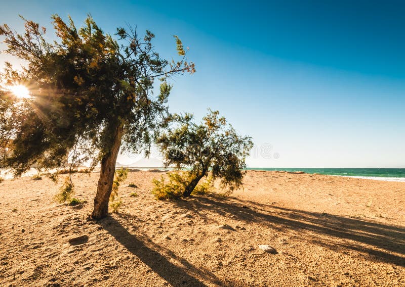 Beach on the Sicily