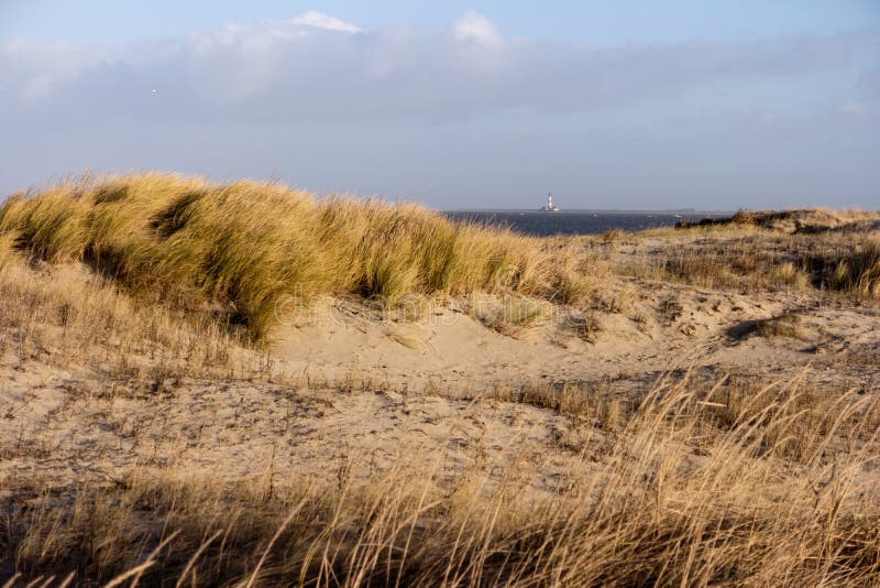 On the beach of St. Peter-Ording