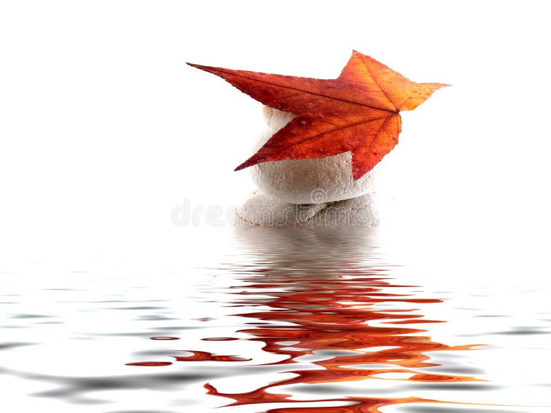 Beach stones with leaf